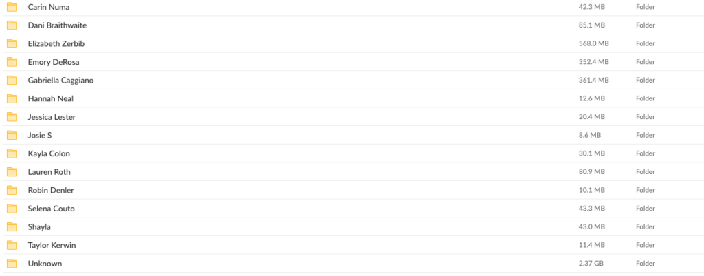 15 in 1 Mega pack Download 2 image